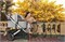 Люлька для коляски UPPAbaby Cruz и Vista V2 STELLA 1139423302 - фото 118671