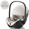 Детское автокресло Britax Roemer Baby-Safe Pro LUX Soft Taupe 1398212374 - фото 120777