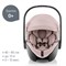 Детское автокресло Britax Roemer Baby-Safe Pro Style Dusty Rose 956217871 - фото 122266