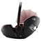Детское автокресло Britax Roemer Baby-Safe Pro Style Dusty Rose 956217871 - фото 122280