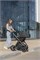 Автокресло Carrello Nova с базой Isofix DK780 (0-13 кг) Black Line 605020936 - фото 122854