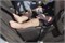 Автокресло Carrello Nova с базой Isofix DK780 (0-13 кг) Black Line 605020936 - фото 122869
