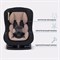 Автокресло Rant Pilot Beige 1631607906 - фото 125015