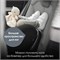 Детское автокресло Britax Roemer Dualfix 5Z Classic Deep Black 1282817270 - фото 125120