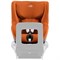 Автокресло Britax Roemer Dualfix 5Z с базой Flex Base 5Z Golden Cognac 1330436693 - фото 125292