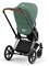 Коляска 2 в 1 Cybex Priam IV Chrome Brown complete Leaf Green 1328435966 - фото 1255