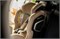 Автокресло Recaro Xenon 1 Elegant Beige 441271354 - фото 126076