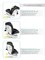 Автокресло AmaroBaby Champion Isofix черный 1759314568 - фото 126192