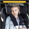 Детское автокресло Storchenm_hle by Osann Niki Complete Asphalt 1564945799 - фото 126234