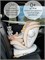 Автокресло AmaroBaby Champion Isofix серый/синий 2103014132 - фото 128748