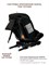 Автокресло Indigo Javola Fuller Isofix черный 2051973558 - фото 128776
