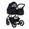 Детская коляска Pituso Tossa 2 в 1 TS/50/02 Black 1830990543 - фото 12890