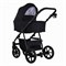 Детская коляска Pituso Tossa 2 в 1 TS/50/02 Black 1830990543 - фото 12891