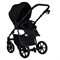 Детская коляска Pituso Tossa 2 в 1 TS/50/02 Black 1830990543 - фото 12897