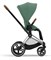 Коляска 2 в 1 Cybex Priam IV Chrome Brown complete Leaf Green 1328435966 - фото 1291