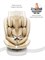 Автокресло AmaroBaby Champion Isofix бежевый 184586428 - фото 129650