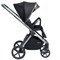 Детская коляска Sweet Baby Elegante 2 в 1 BRD Black 1326415860 - фото 12982