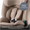 Детское автокресло Britax Roemer Advansafix Pro Style Teak 1452340585 - фото 130758
