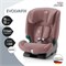 Автокресло Britax Roemer Evolvafix Dusty Rose 732700788 - фото 130803