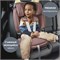 Автокресло Britax Roemer Evolvafix Dusty Rose 732700788 - фото 130815