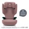 Автокресло Britax Roemer Discovery Plus 2 Dusty Rose 52477880 - фото 132635