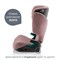 Автокресло Britax Roemer Discovery Plus 2 Dusty Rose 52477880 - фото 132638