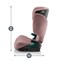 Автокресло Britax Roemer Discovery Plus 2 Dusty Rose 52477880 - фото 132643