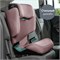 Автокресло Britax Roemer Discovery Plus 2 Dusty Rose 52477880 - фото 132644