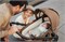 Детская коляска Britax Roemer Smile 5Z 2 в 1 LUX Warm Caramel 1325082637 - фото 14670