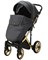 Детская коляска Adamex Chantal Special Edition Deluxe 2 в 1 C113 (ЧЕРН.ПЕРЛ.КОЖА+ЗОЛОТО РАМА) 1574914708 - фото 14728