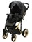 Детская коляска Adamex Chantal Special Edition Deluxe 2 в 1 C113 (ЧЕРН.ПЕРЛ.КОЖА+ЗОЛОТО РАМА) 1574914708 - фото 14729