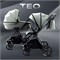 Детская коляска Rant Teo 2 в 1 Sage 620635111 - фото 1507