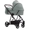 Детская коляска Bebetto Yoddi Pro 2 в 1 04 шалфей кожа 1622951603 - фото 15132