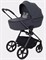 Детская коляска Rant Teo Black Chrome 2 в 1 Graphite 431703844 - фото 1819