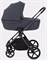 Детская коляска Rant Teo Black Chrome 2 в 1 Graphite 431703844 - фото 1820