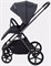 Детская коляска Rant Teo Black Chrome 2 в 1 Graphite 431703844 - фото 1831