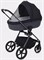 Детская коляска Rant Teo Black Chrome 2 в 1 Graphite 431703844 - фото 1844