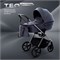 Детская коляска Rant Teo Black Chrome 2 в 1 Graphite 431703844 - фото 1859