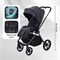 Детская коляска Rant Teo Black Chrome 2 в 1 Graphite 431703844 - фото 1866