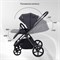 Детская коляска Rant Teo Black Chrome 2 в 1 Graphite 431703844 - фото 1868
