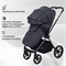 Детская коляска Rant Teo Black Chrome 2 в 1 Graphite 431703844 - фото 1869