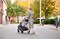 Коляска UPPAbaby Cruz V2 2 в 1 BRYCE 732775235 - фото 19120