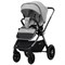 Детская коляска Sweet Baby Verde Silver 2 в 1 427451 Grey 740421865 - фото 19315