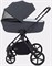 Детская коляска Rant Teo 2 в 1 Graphite 1386652668 - фото 19465