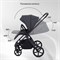Детская коляска Rant Teo 2 в 1 Graphite 1386652668 - фото 19509
