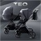Детская коляска Rant Teo 2 в 1 Graphite 1386652668 - фото 19608