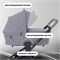 Детская коляска Rant Flex 2 в 1 RA076 Grey 1661316889 - фото 20145