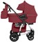 Детская коляска Carrello Vista Air 2 в 1 CRL-6506 Ruby Red 1132134516 - фото 20441