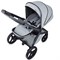 Детская коляска Anex l/type 2 в 1 с аксессуарами frost 945557813 - фото 20638