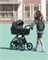 Коляска 2 в 1 Carrello Omega Plus CRL-6540/1 Cosmo Black 1971211040 - фото 20689